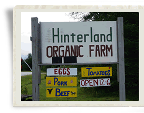 Hinterland Organic Farm